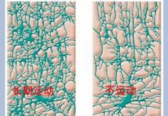 儿童樱花草视频在线观看www波多野结衣厂家科普运动可以有效促进儿童智力发育