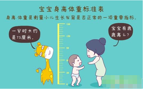 超声波樱花草在线观看高清免费视频韩国正确测量方法标准身高体重表 超声波樱花草在线观看高清免费视频韩国正确测量方法标准身高体重表